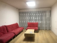 金河一号南区有房出租